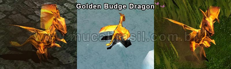 Golden Budge Dragon
